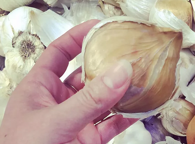 Garlic- Worth the bad breath